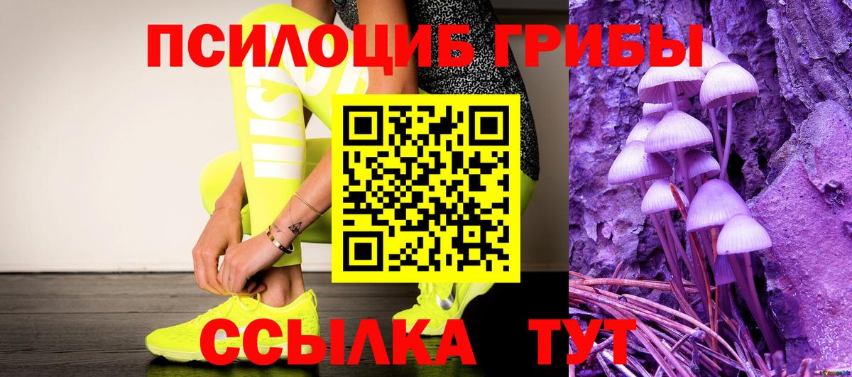 Полевской  Галлюциногенные грибы мухоморы  Галлюциногенные грибы MAGIC MUSHROOMS  наркошоп  Вход с VPN 