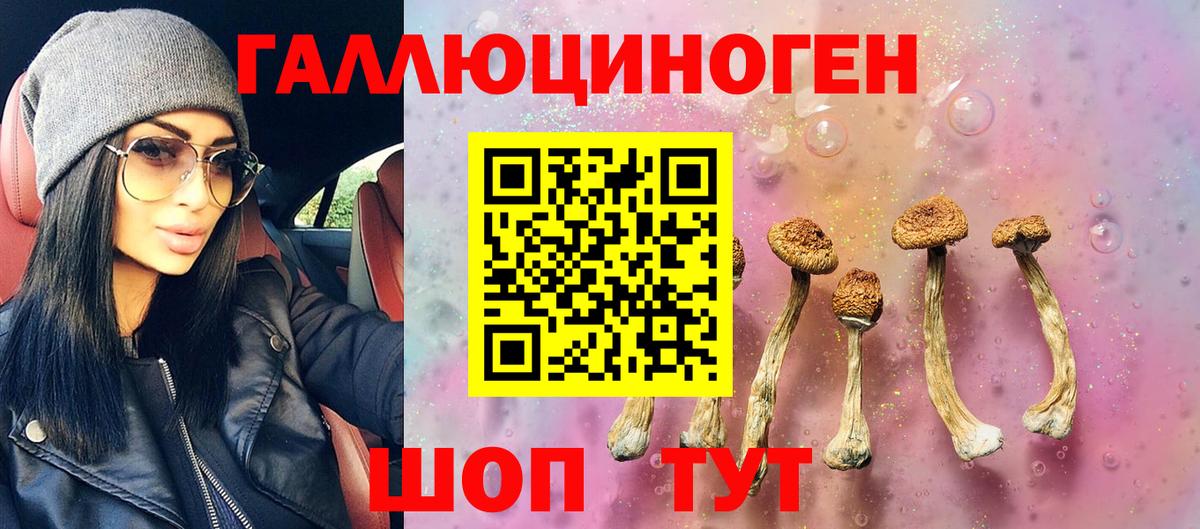 Псилоцибиновые грибы мухоморы Полевской